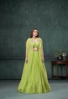 Green Organza Silk Georgette Pleated Ghaghra Set