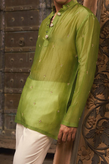 Buy Hirika &amp; Dhruti Green Embroidered Sheer Kurta And Pant Set For Kids Online at Aza Fashions