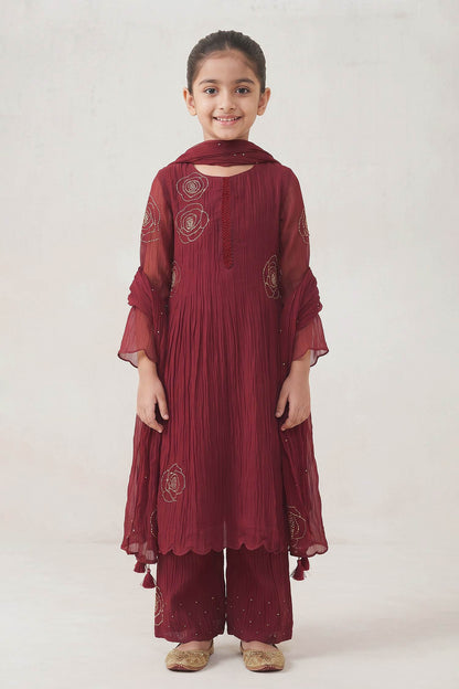 Hirika &amp; Dhruti Burgundy Rose Embroidered Pleated Kurta Set For Kids