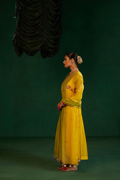 Moti Sharara