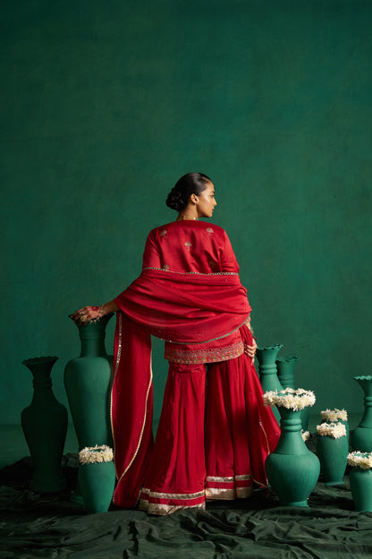 Suhani sharara
