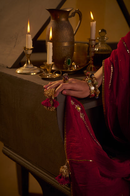 Gulaal lehenga set